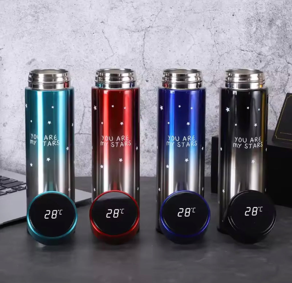 500ML LED Temperature Display Bottle, Stainless Steel Intellective Thermos with Double Bottom, Smart Vacuum Insulated Water Bottle