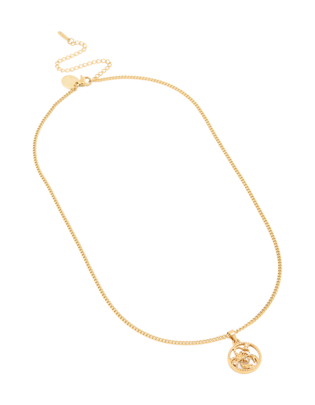 Waterproof Gold Plated Stainless Steel Circle Scorpio Necklace