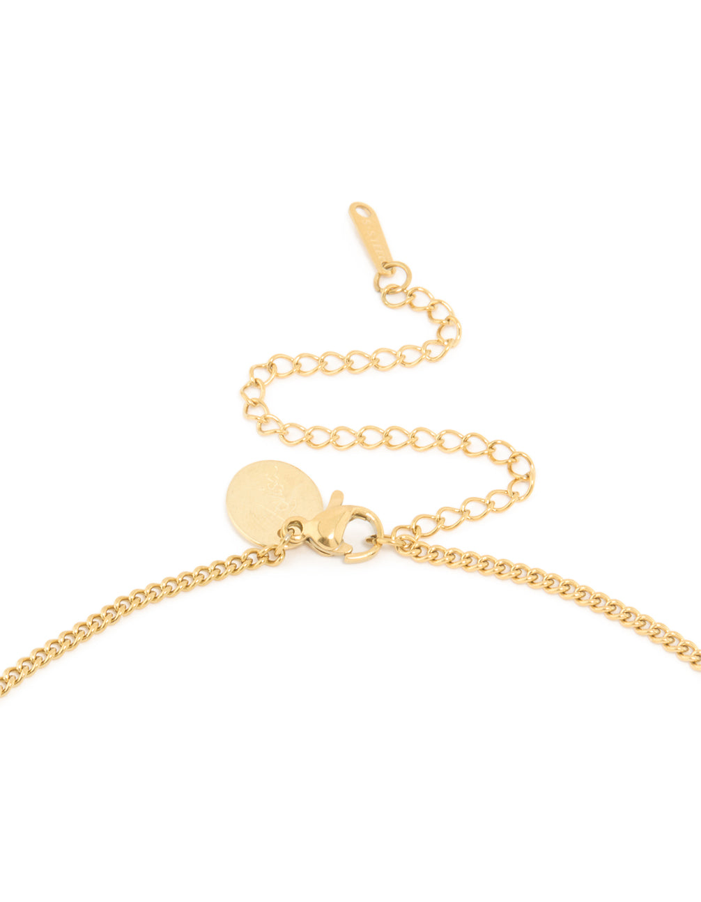 Waterproof Gold Plated Stainless Steel Circle Scorpio Necklace