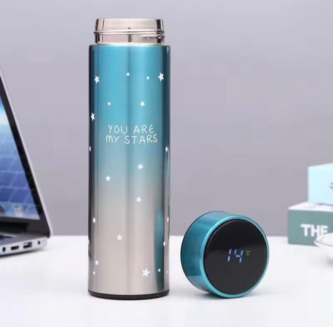 500ML LED Temperature Display Bottle, Stainless Steel Intellective Thermos with Double Bottom, Smart Vacuum Insulated Water Bottle
