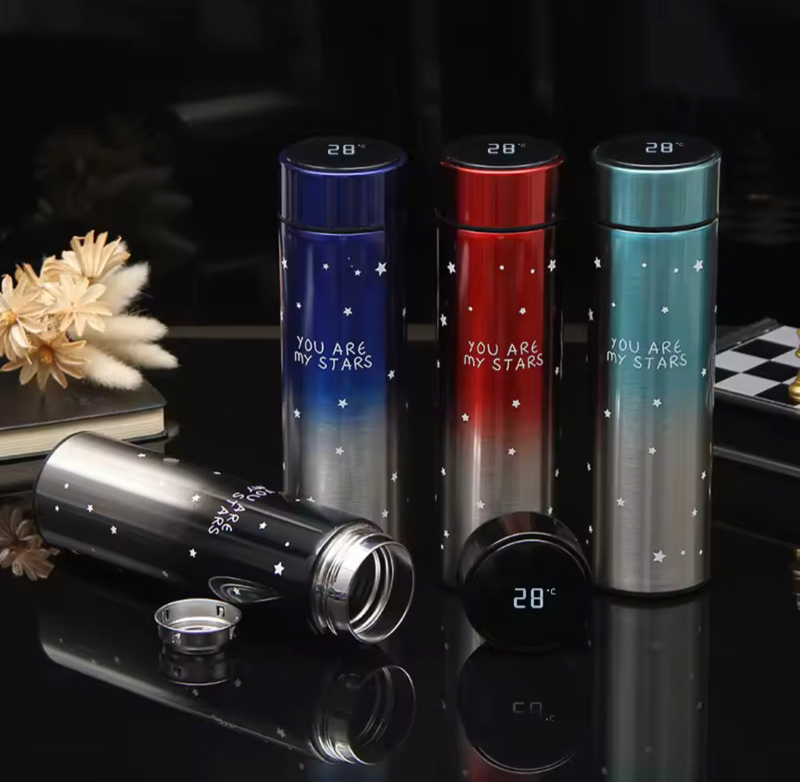 500ML LED Temperature Display Bottle, Stainless Steel Intellective Thermos with Double Bottom, Smart Vacuum Insulated Water Bottle