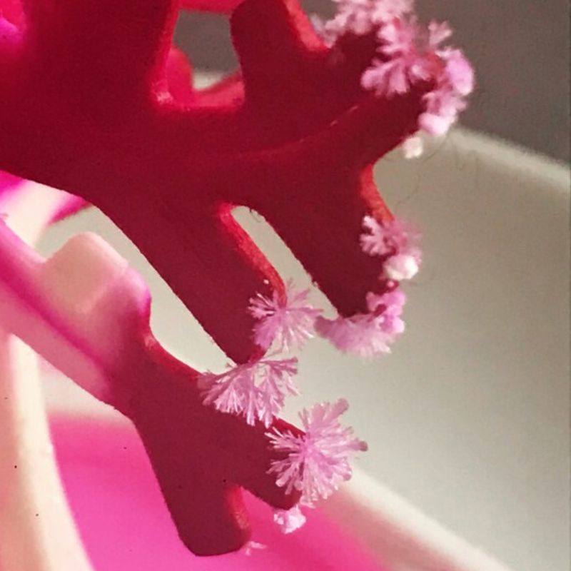 Magic Sakura Tree
