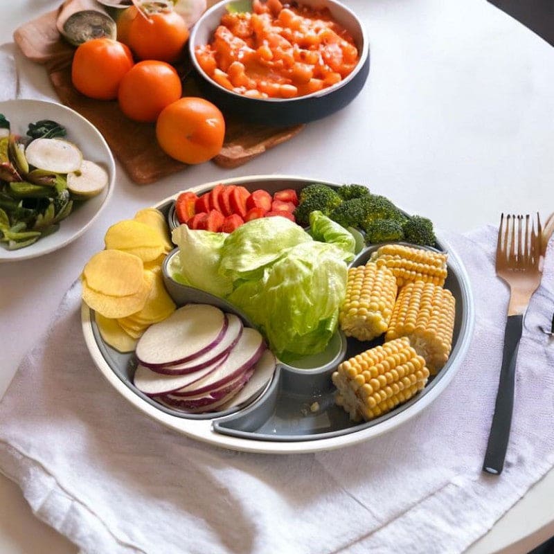 4 Compartment Dolphin Tray, Sasuke Food Divided Serving Plate, Multifunctional Food Storage Plate