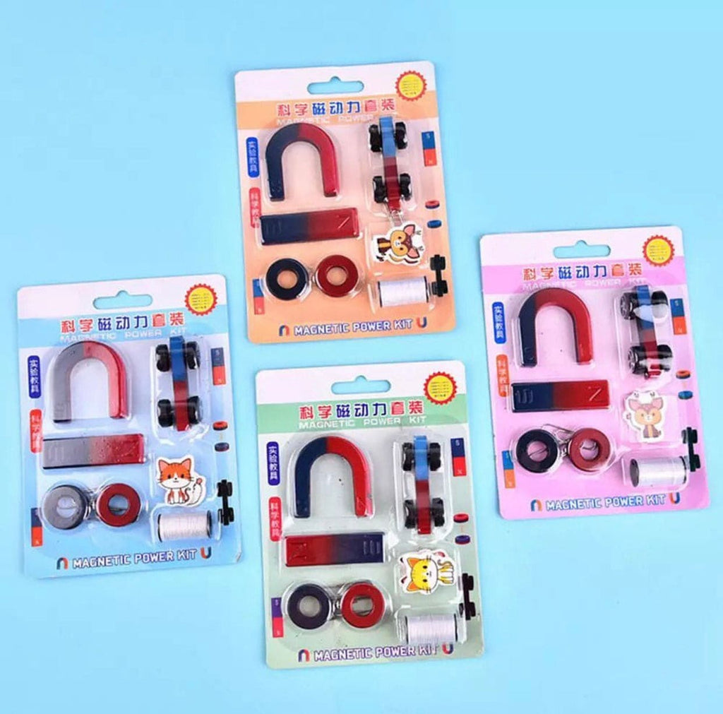 Kids Magnet Toy, Physics Science Experiment Education Toys Kit for Gift, Intellectual Magnet Toy, Learning Kit Physics Science Magnet Toys