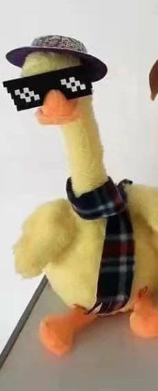 Lovely Talking Toy Dancing Duck, Electronic Dancing Ducks with Funny Clothes, Duck Plush Toy.