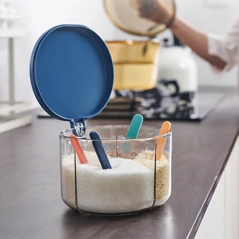 4 Grid Seasoning Organizer, Transparent Condiment Storage Box With Lids.