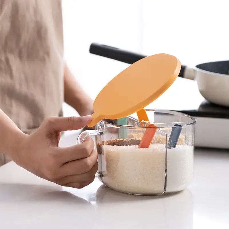 4 Grid Seasoning Organizer, Transparent Condiment Storage Box With Lids.