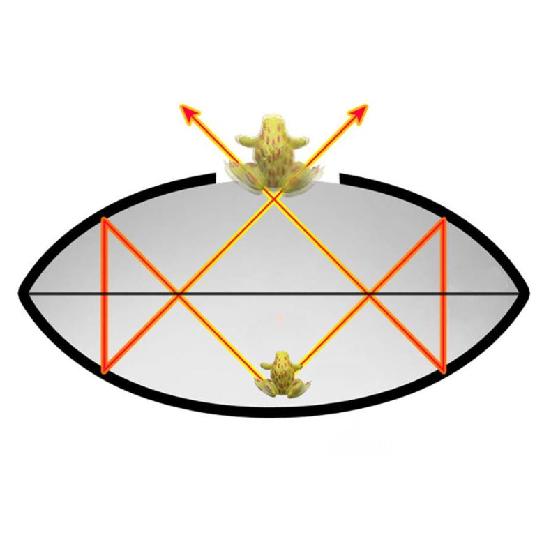 3D Mirascope